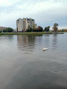 Villa Tat'yana Na Verhneozyornoj - 81