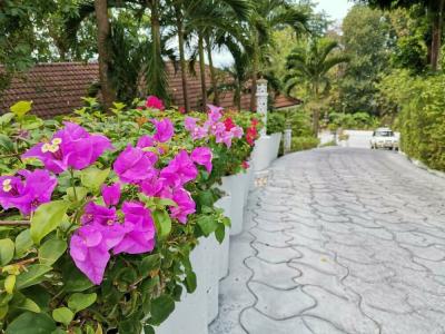 On the Hill Karon Resort - 8