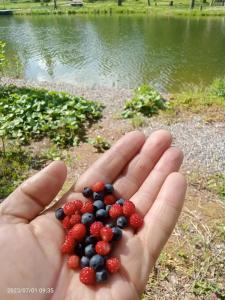 Usad'ba Ohotnika - 26