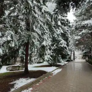 Sanatorii Lesnoi - 26