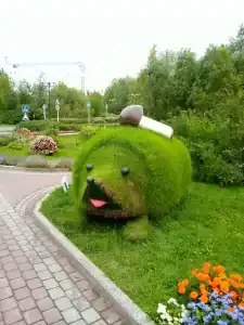 Kedrovyy Log - 31