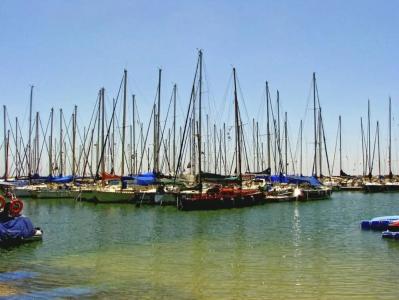 Yam - an Atlas Boutique - 22