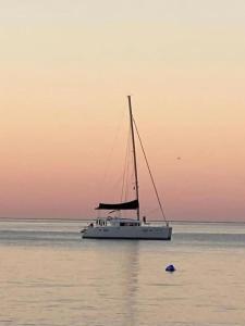 Boutique Vissi d'Arte - 10