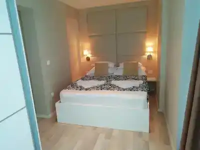 Apartments and rooms Grand Palazzo - 29