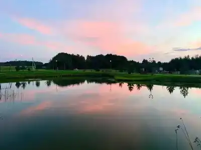 Alpha Garden Guest House - 84