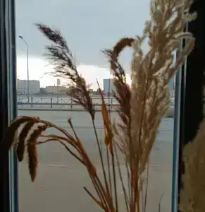 БАГРАТИОН - 36