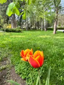 Sanatorii Lesnoi - 9