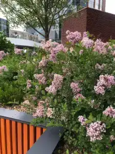 Hayatt Ridzhensi Ekaterinburg - 21