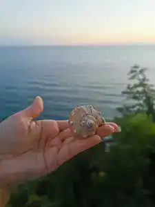 Villa Plaza Guest House - 29