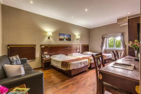 B&B Drago D'Oro - 19