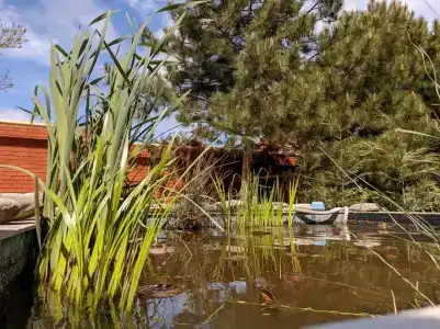 Solnechnaya Gavan - 45