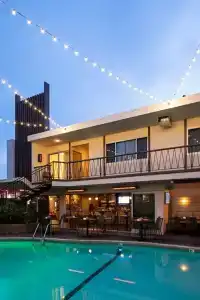 The Pearl - 4