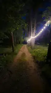 База отдыха Дубки - 23