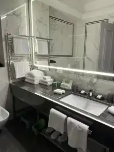 Cosmos Selection Saint-Petersburg Italyanskaya - 93