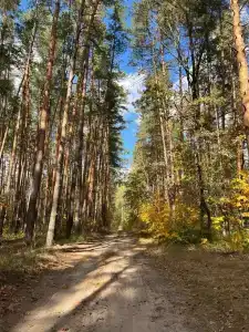 "Energetik" Sanatorium - 28