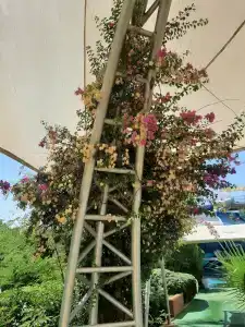 Pine Bay Holiday Resort - 66