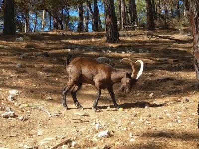 Daima Biz - Dolusu Aquapark Access - 12