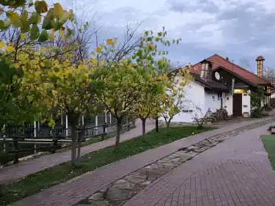 Zagorodny Klub Kura Tse Tse - 48