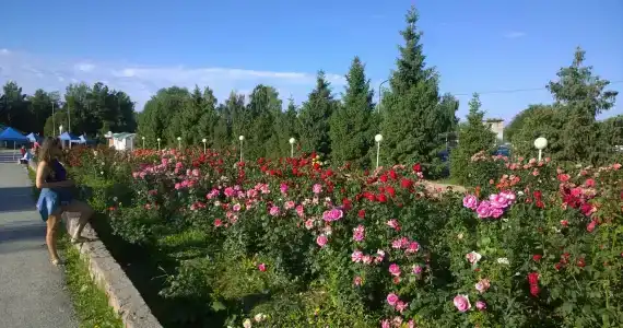 Goluboi Issyk Kul Sanatorium - 13