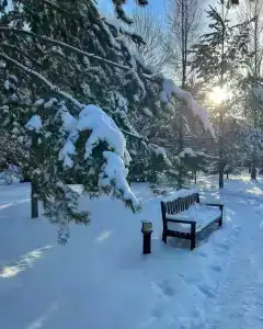 Резиденция 888 - 62