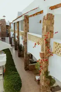 Camel Dive Club & - Boutique - 17