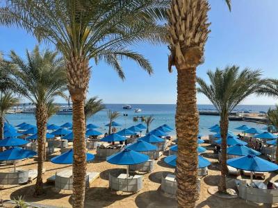 Beach Albatros Resort - 9