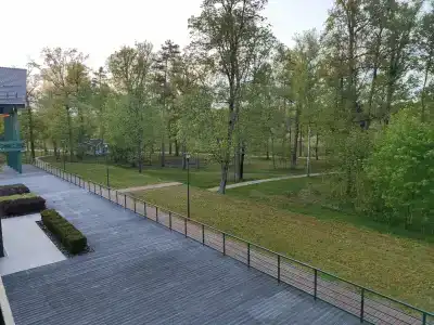 Berezinskaya Dubrava - 19