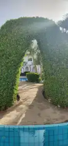 Iberotel Palace - Adults Only 16+ - 18