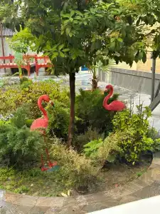 Alpha Plaza & SPA - 22