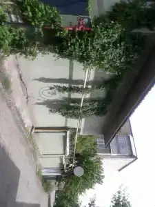 Guest House Vip - 1