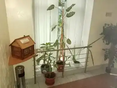 Tsentralny EuroHotel - 38