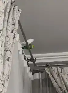 Almera Park Apart - 37