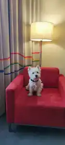 Park Inn by Radisson - 22