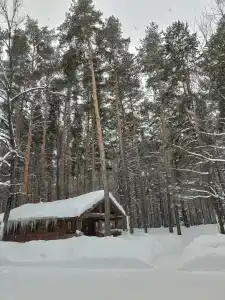 Guest complex Bereg - 27