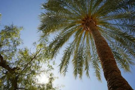 Joan Miró Museum - 22