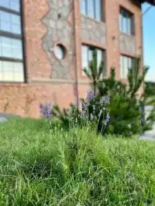 Alpha Garden Guest House - 65