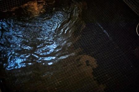 Palma Riad - Adults Only - 74