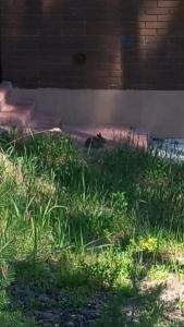 Dubki Recreation camp - 67