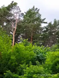 Sanatoriy-Profilaktory Olkhovka - 24