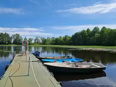Ryabinushka - 0