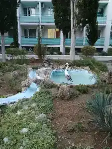 Sevastopol Tourist base - 21