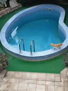 АНДАЛУСИЯ - 74