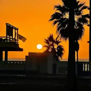 Sentido Reef Oasis Aqua Park Resort - 34