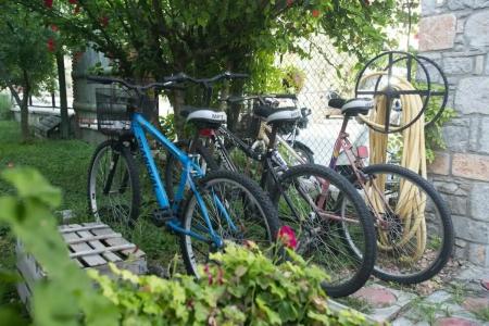 Dedeminn Garden - 37