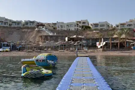 Shark Bay Oasis - 44