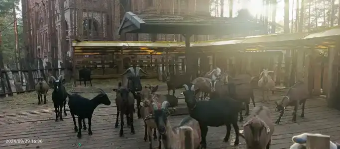 Usadba Meshcherskaya Park-Hotel - 46