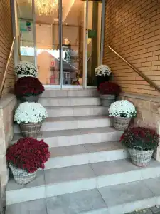 Boutique-Corona - 17