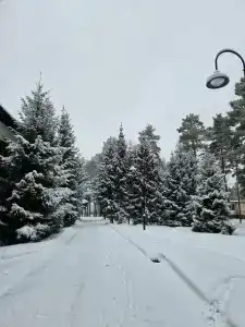 Dom Otdykha Elochki Sanatorium - 99