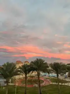 Pickalbatros Aqua Vista Resort - - 42