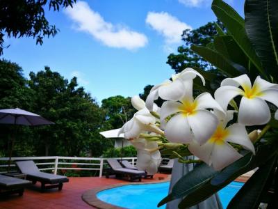 On the Hill Karon Resort - 3